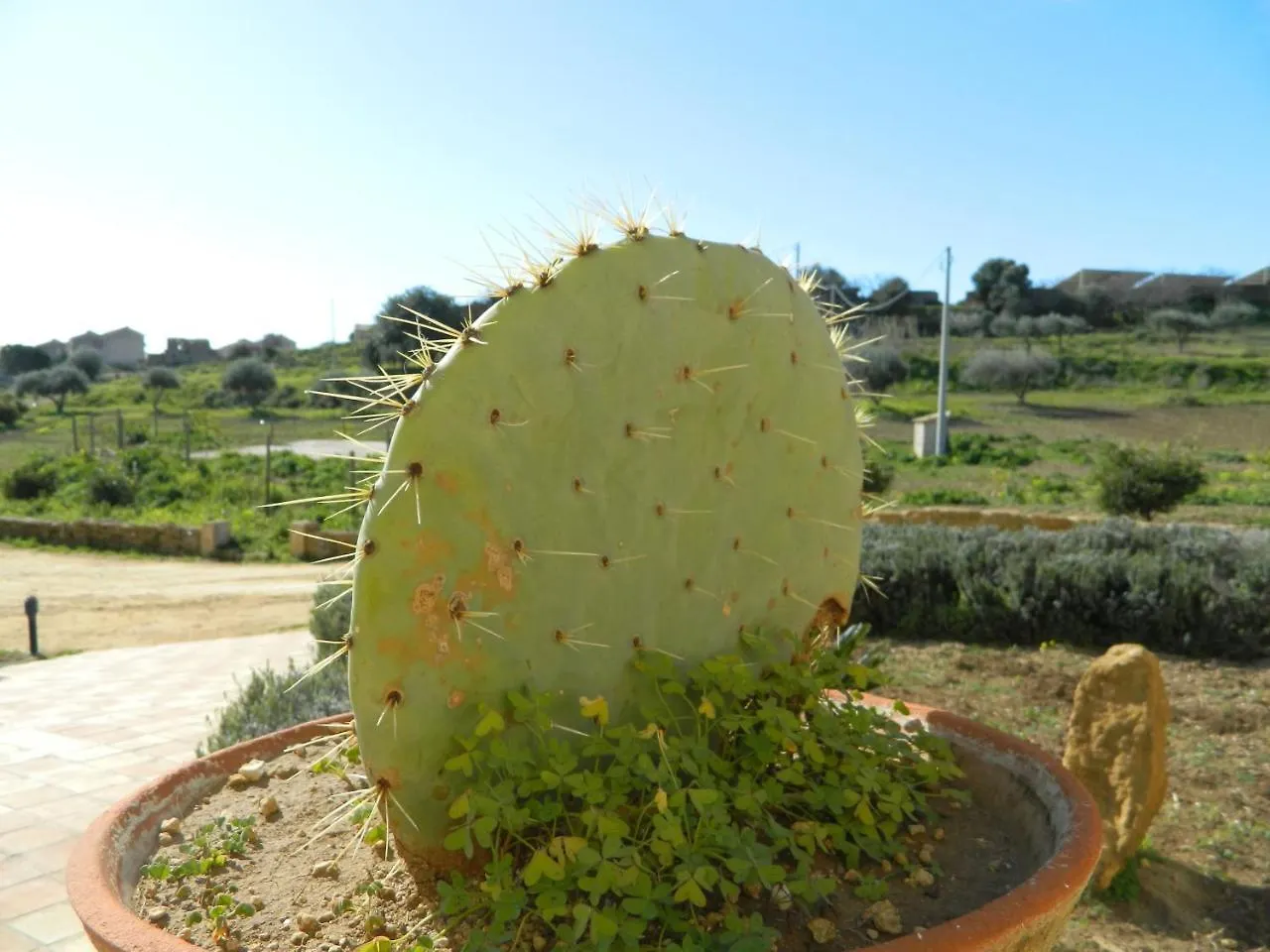 Agriturismo Passo Dei Briganti Agrigento Farm stay